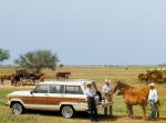 Jeep Grand Wagoneer 1984 года
